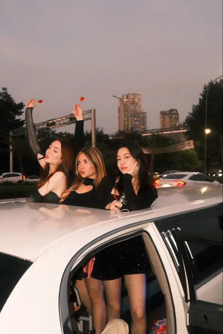 Professional chauffeur