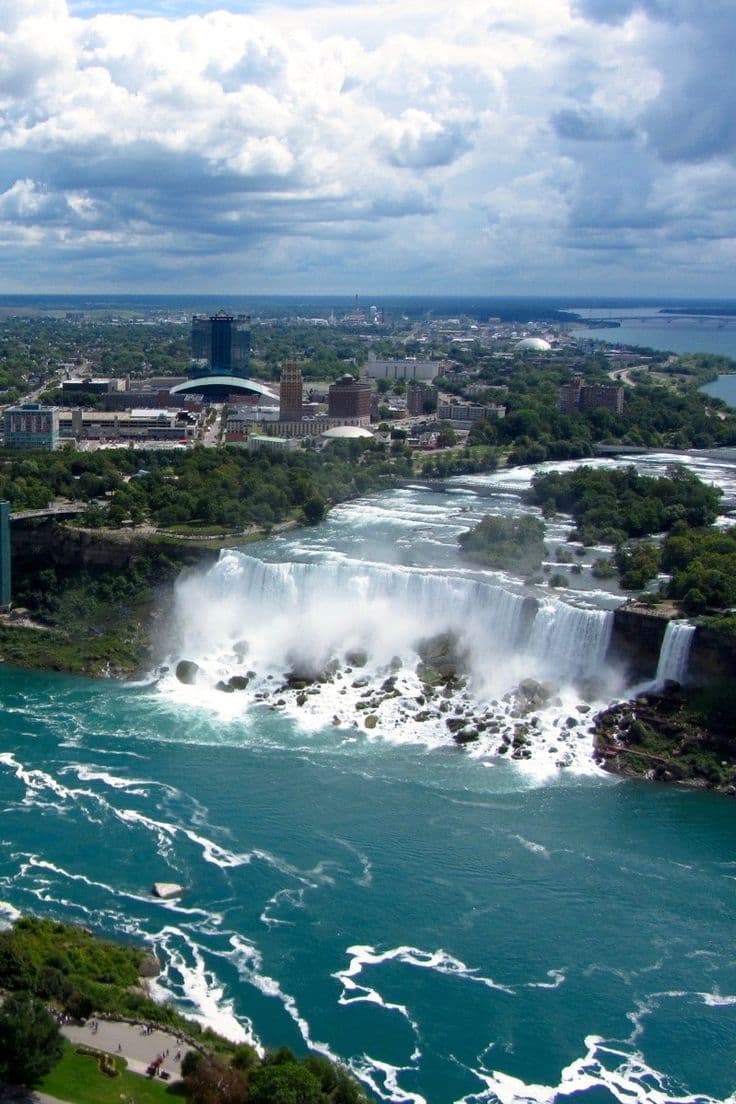 Niagara Limo contact
